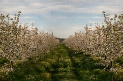  Finnriver Farm & Cidery Tasting Tours | May