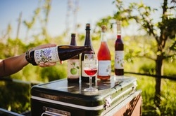 Finnriver Farm & Cidery Tasting Tours | June