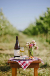 Bring Your Own Picnic | All Day Wednesdays!